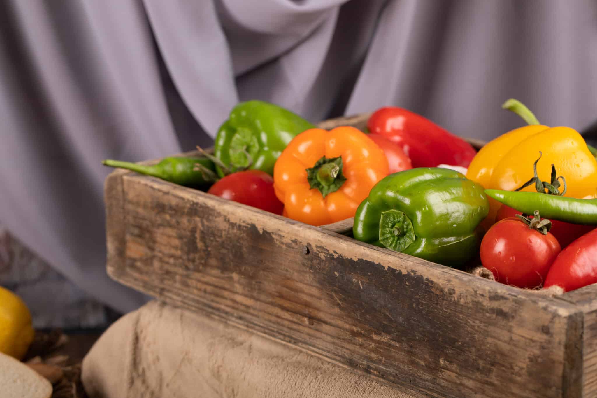 Légumes frais de saison choisis en direct producteur